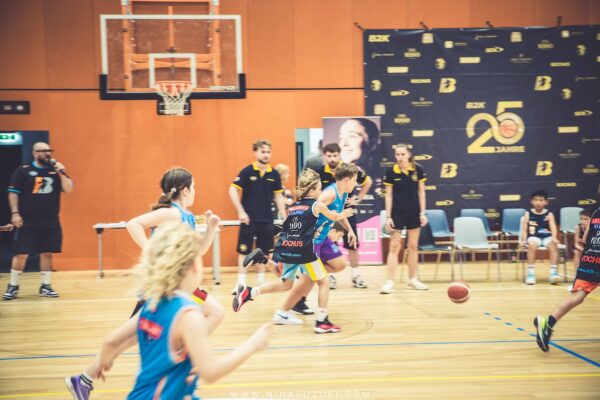 Basketball-231 Basketball-231
