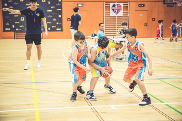 Basketball-77 Basketball-77