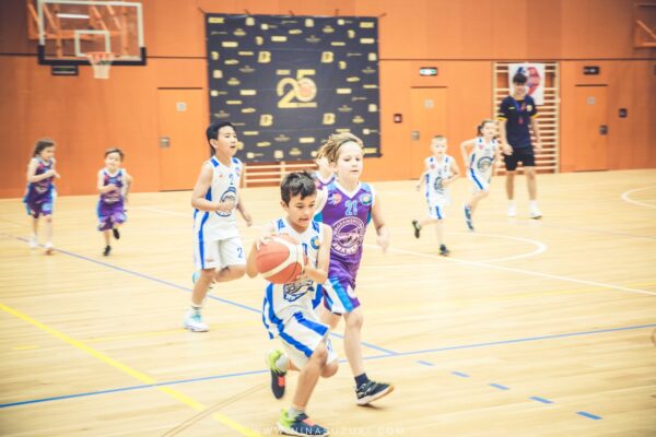 Basketball-87 Basketball-87