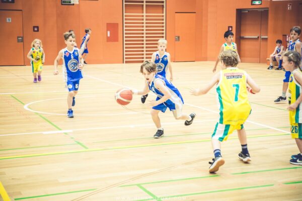 Basketball-88 Basketball-88