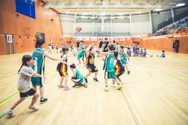 Basketball-95 Basketball-95