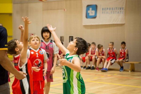 Basketball-10