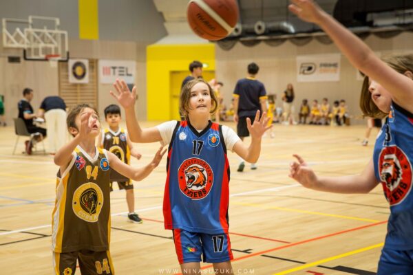 Basketball-130