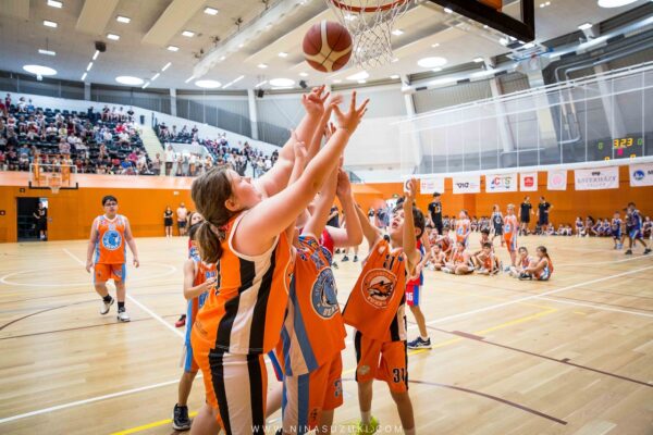 Basketball-138