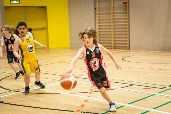 Basketball-153
