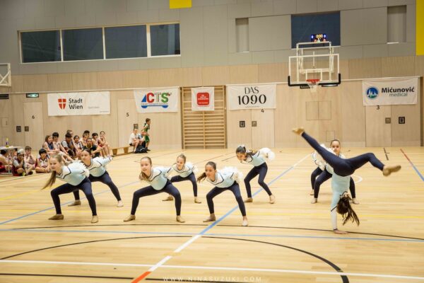Basketball-209