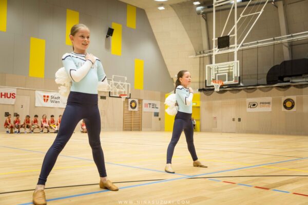 Basketball-225
