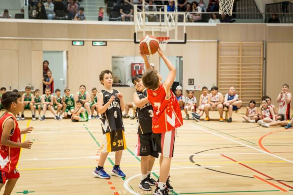 Basketball-232