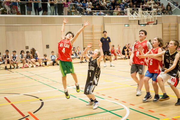 Basketball-246