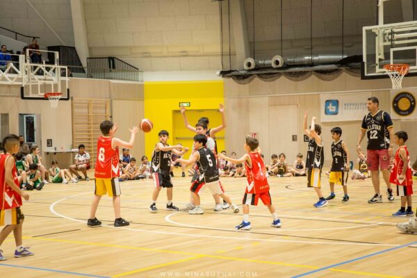Basketball-250