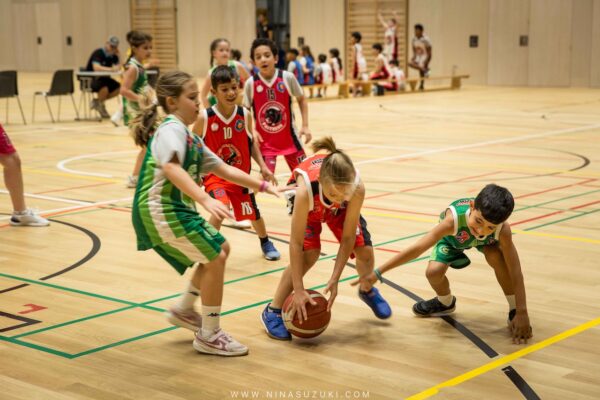 Basketball-37