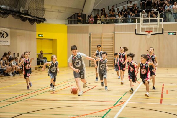 Basketball-45