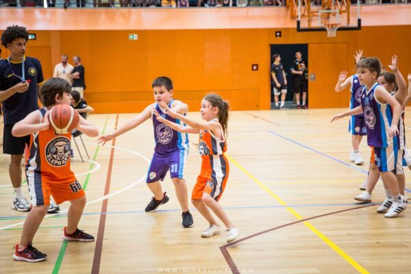 Basketball-79