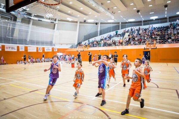 Basketball-82