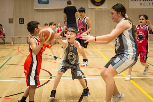 Basketball-95