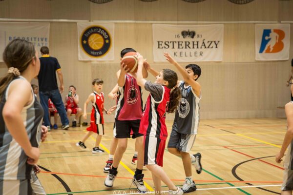 Basketball-96
