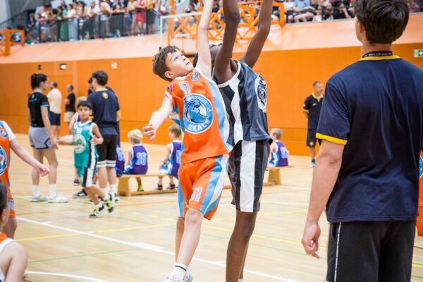 Basketball-99